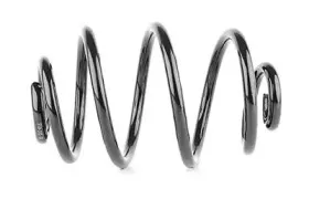 Пружина ходовой части BSG купить